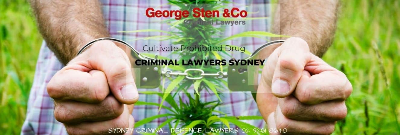 Cultivate Prohibited Drug - George Sten & Co